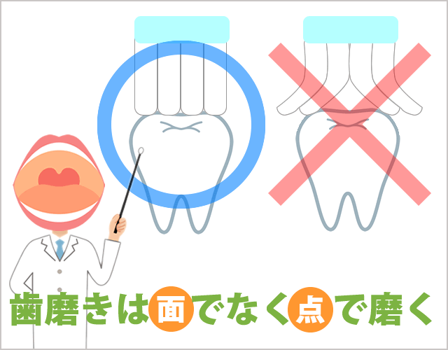 歯磨きは面でなく、点で磨く